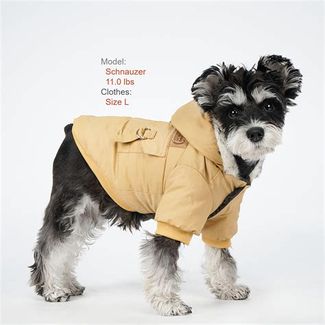 burberry dog raincoat.